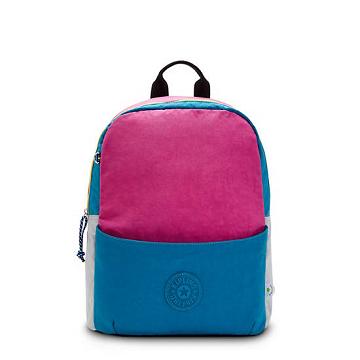 Torby Na Laptopa Kipling Sonnie 15" Backpack Różowe Niebieskie | PL 1548PJ